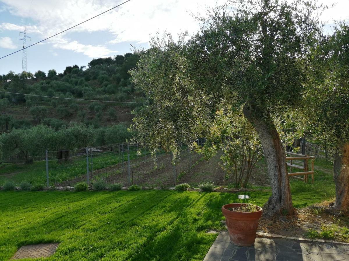 Agriturismo Oltrealmare Civezza Exterior photo